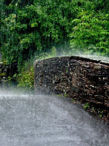 meaning-of-barish-in-english-rekhta-dictionary